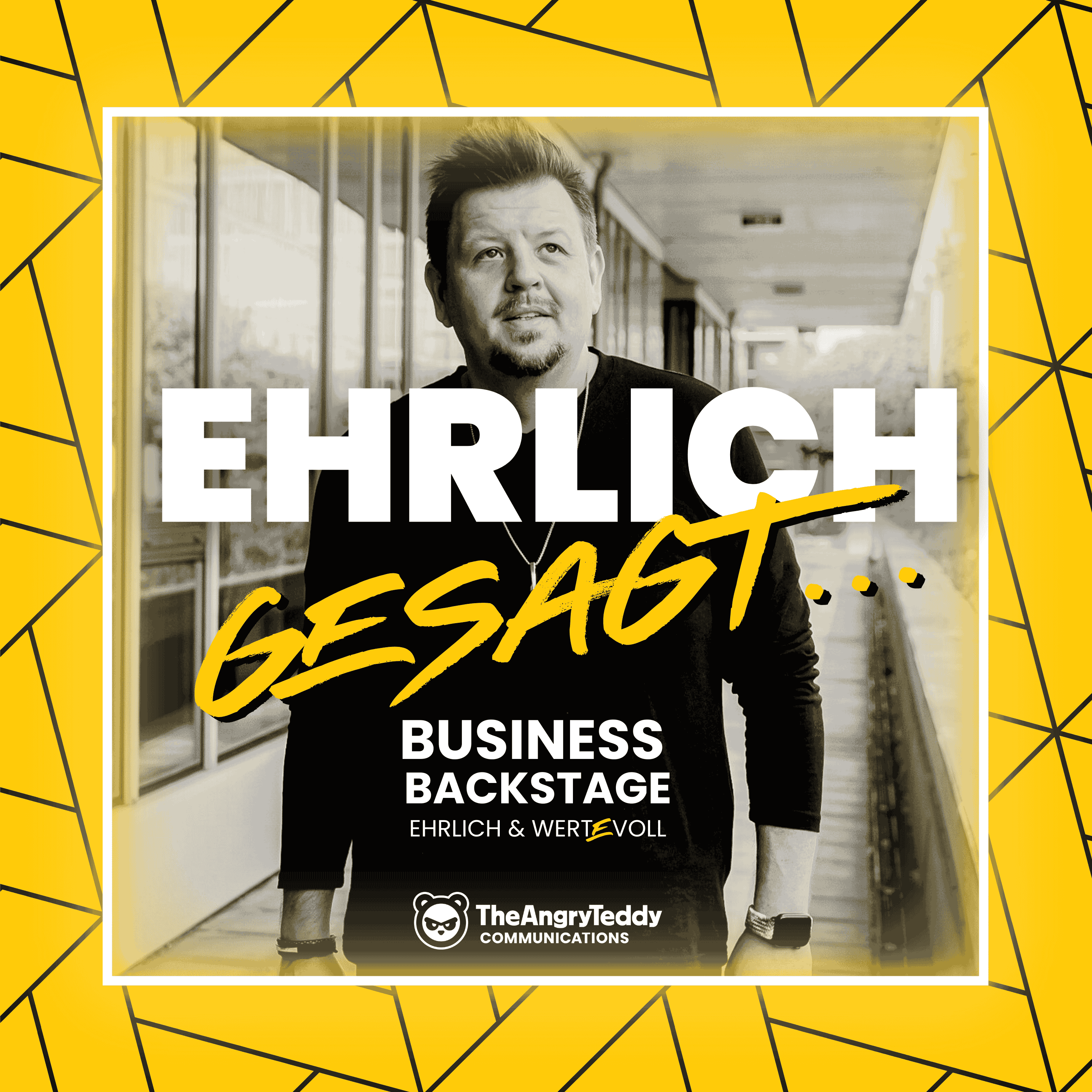 Ehrlich-gesagt-Cover triple-a-socialselling-und-podcast-marketing