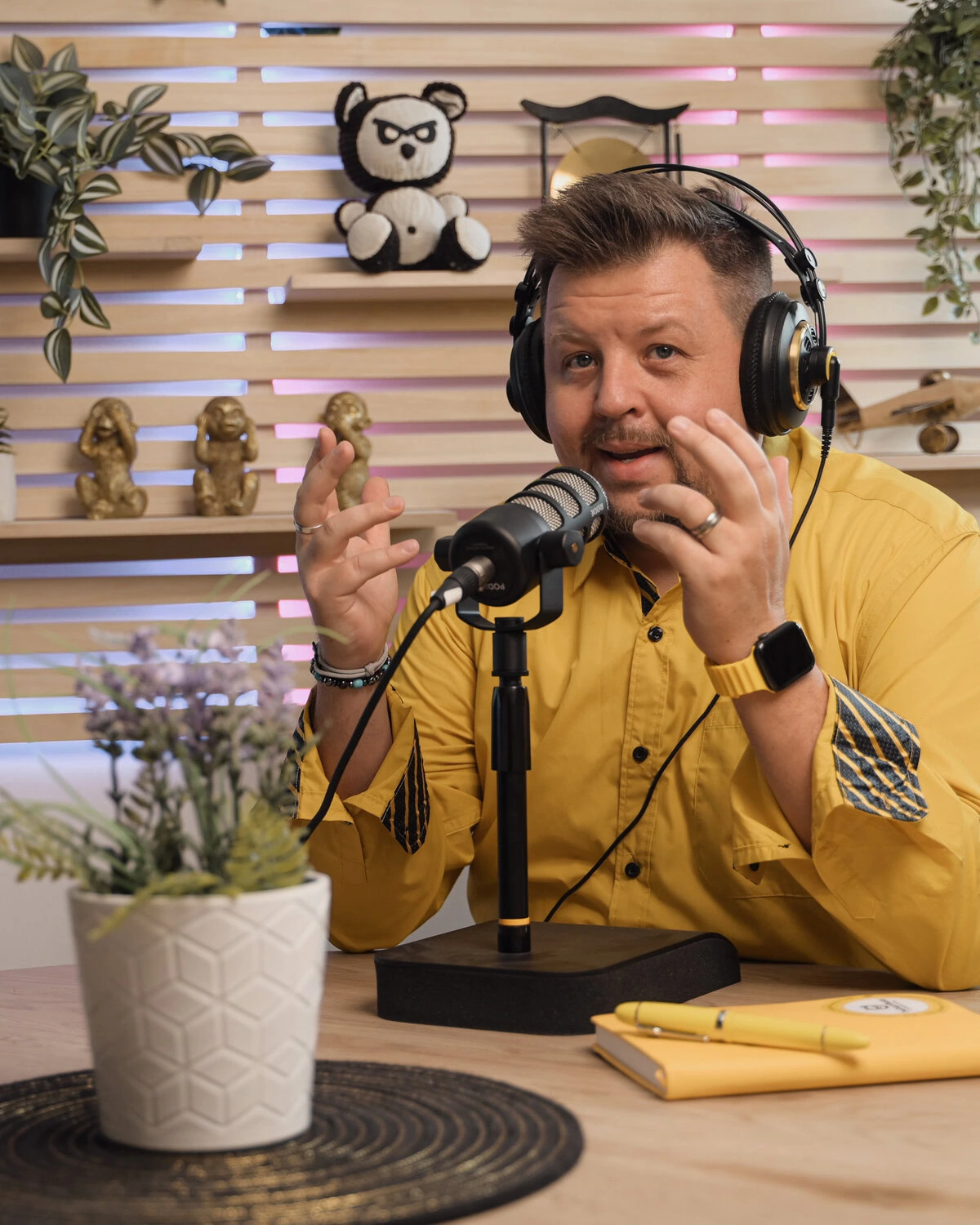 Podcast Marketing Experte Daniel Friesenecker Linz Podcast Marketing Experte Daniel Friesenecker Linz